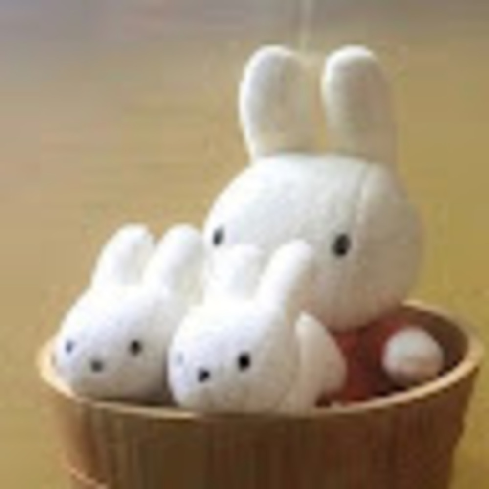 Meet your Posher, Emilee